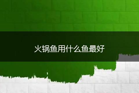 火锅鱼用什么鱼最好
