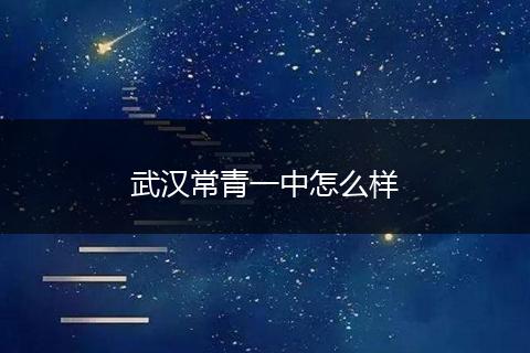 武汉常青一中怎么样