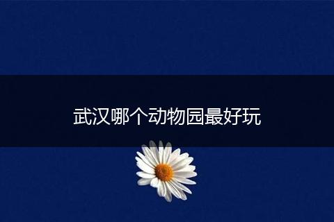 武汉哪个动物园最好玩