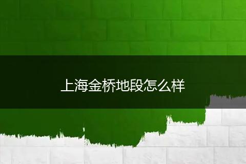 上海金桥地段怎么样