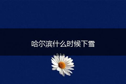 哈尔滨什么时候下雪