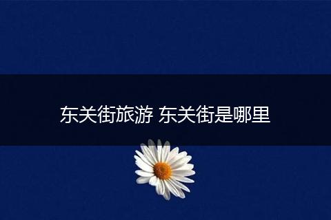 东关街旅游 东关街是哪里