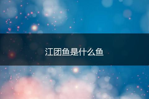 江团鱼是什么鱼