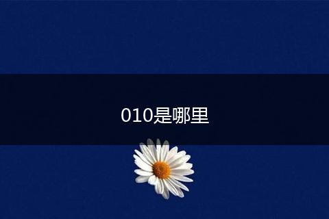 010是哪里