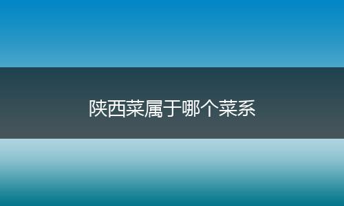 陕西菜属于哪个菜系
