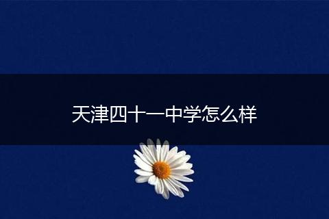 天津四十一中学怎么样