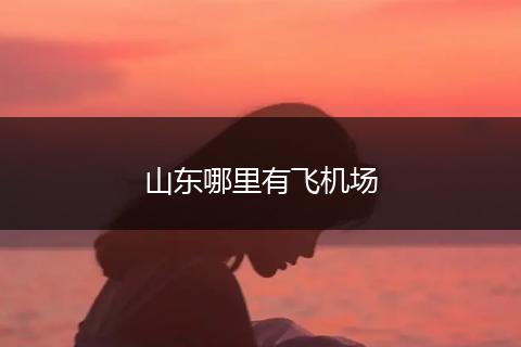 山东哪里有飞机场
