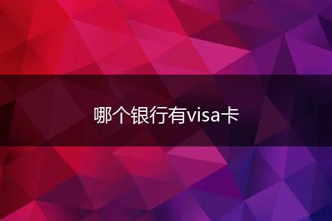哪个银行有visa卡