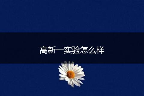 高新一实验怎么样