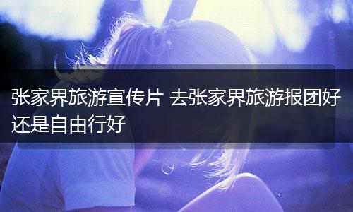 张家界旅游宣传片 去张家界旅游报团好还是自由行好