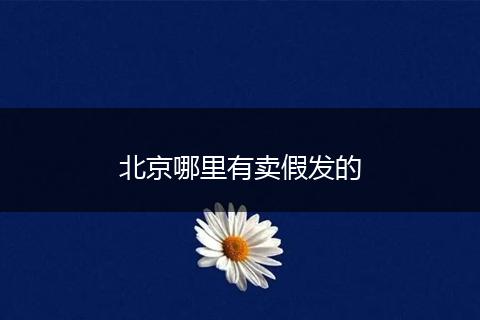 北京哪里有卖假发的
