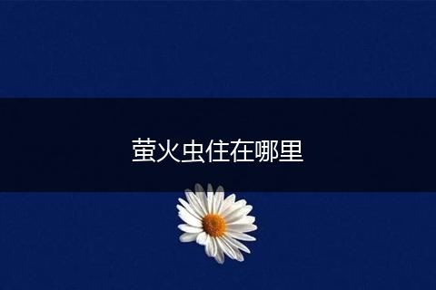 萤火虫住在哪里