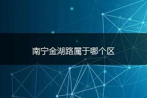 南宁金湖路属于哪个区