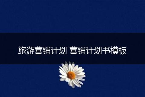 旅游营销计划 营销计划书模板
