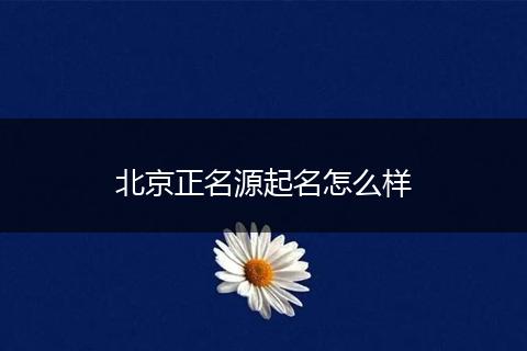 北京正名源起名怎么样