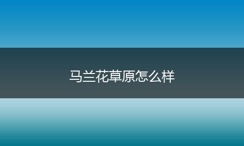 马兰花草原怎么样