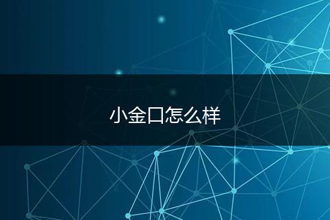 小金口怎么样