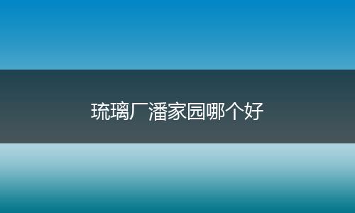 琉璃厂潘家园哪个好