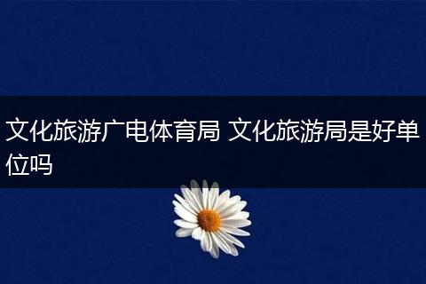 文化旅游广电体育局 文化旅游局是好单位吗