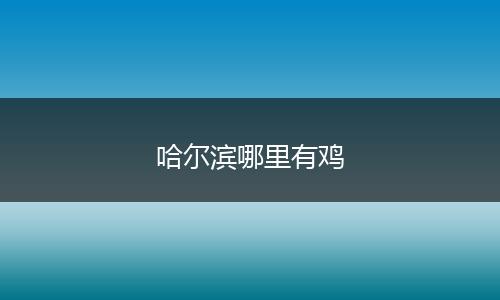 哈尔滨哪里有鸡