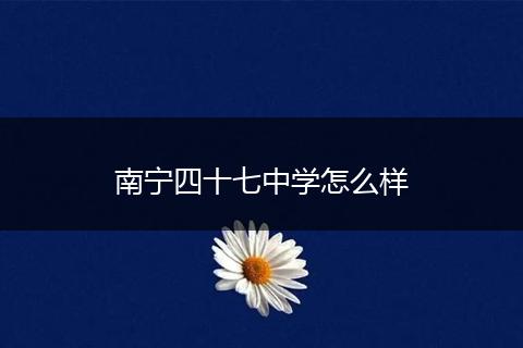 南宁四十七中学怎么样