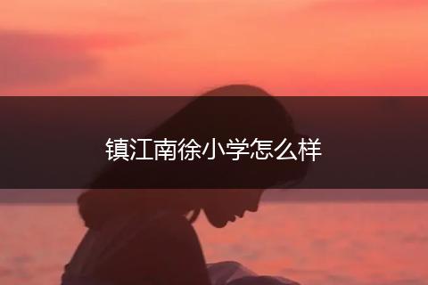 镇江南徐小学怎么样