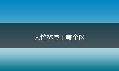 大竹林属于哪个区
