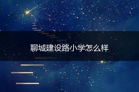 聊城建设路小学怎么样
