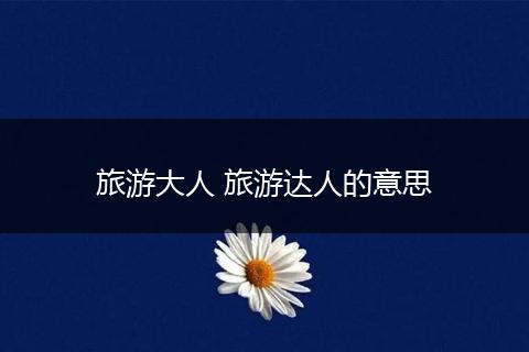 旅游大人 旅游达人的意思