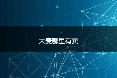 大麦哪里有卖