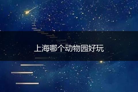 上海哪个动物园好玩