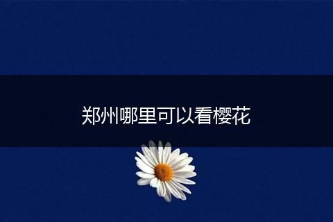郑州哪里可以看樱花