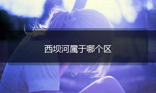 西坝河属于哪个区