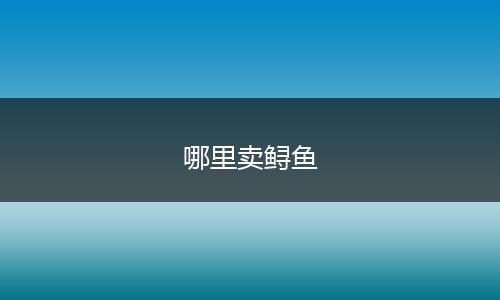 哪里卖鲟鱼