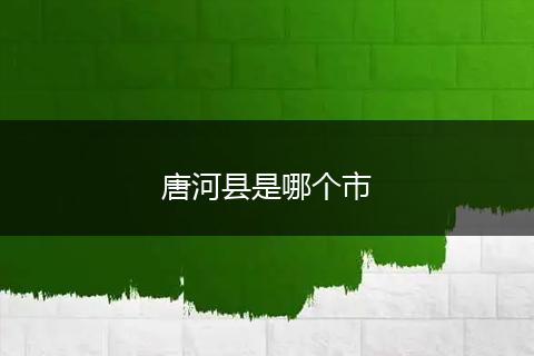 唐河县是哪个市