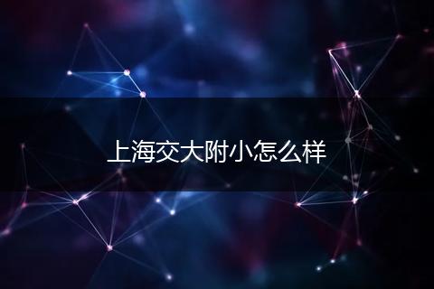 上海交大附小怎么样