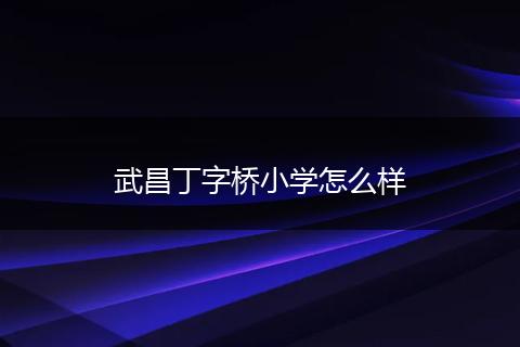 武昌丁字桥小学怎么样