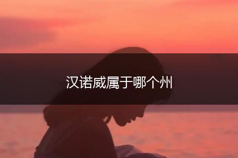 汉诺威属于哪个州