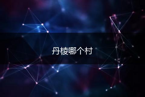 丹棱哪个村