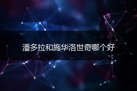潘多拉和施华洛世奇哪个好