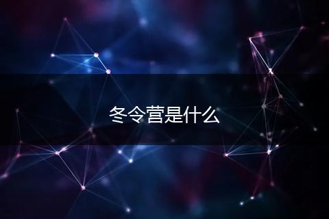 冬令营是什么
