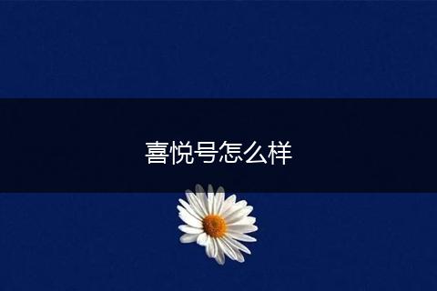 喜悦号怎么样