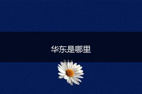 华东是哪里