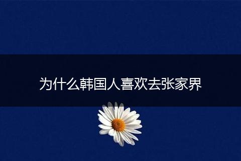 为什么韩国人喜欢去张家界