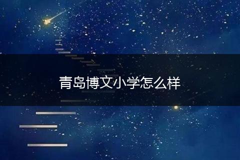 青岛博文小学怎么样