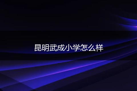 昆明武成小学怎么样