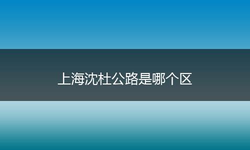 上海沈杜公路是哪个区