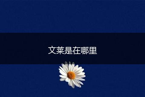 文莱是在哪里