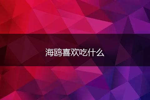 海鸥喜欢吃什么