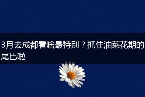 3月去成都看啥最特别？抓住油菜花期的尾巴啦